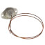SPST Rollout Switch (175° Open, 135° Close), S1-02526357000