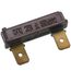 Fusible Link Rollout Control, S1-02526908000