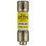 Fuse 30 Amp 600v, S1-02532733001