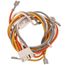 Wiring Harness S10, S1-02535366003