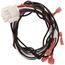 Wire Harness, S1-02541029000