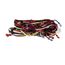 Wire Harness 2-stage, S1-02542734000