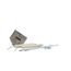 Electrode Kit, S1-02633069000
