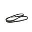 Belt Drive Bx61 Pl=62.8, S1-02812029700