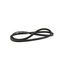 Belt Drive Bx64 Pl=67, S1-02815948000