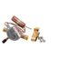 30" 1/2" X 1/2" Odf Thermal Expansion Valve, S1-151368