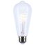 6W LED, Reminiscent, Flex Gray Coil Filament, ST19, Medium Base, 2700K CCT, Clear, 120V (12 Pack)