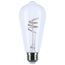 6W LED, Reminiscent, Flex Gray Coil Filament, ST19, Medium Base, 2700K CCT, Clear, 120V (12 Pack)