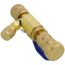 1/4" Core Removal Tool