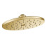 10" Diameter Head Rainshower w/ 1-Spray Pattern (Brushed Gold), S112EPBG