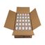 9 Watt A19 LED Bulb - 2700K - Medium base - 220 deg. Beam Angle (100 Pack)