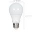 9 Watt A19 LED Bulb - 4000K - Medium base - 220 deg. Beam Angle (100 Pack)