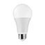 14 Watt A19 LED Bulb - 3000K - 100 Watt Replacement - Medium base - 220 deg. Beam Angle (10 Pack)