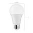 12 Watt A19 LED Bulb - 5000K - 75 Watt Replacement - Medium base - 220 deg. Beam Angle (10 Pack)