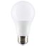 14 Watt A19 LED Bulb - Frost Finish - Medium Base - 1520 Lumens - Cool White - 120 Volt (100 Pack)