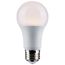 10.5 Watt - A19 LED - Dimmable Agriculture Bulb - 5000K - 120 Volt (5 Pack)