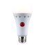 8 Watt A21 LED Bulb - 3000K - Medium Base - 120 Volt - 80 CRI - Battery Backup (1 Pack)