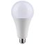 Ultra Bright Utility Lamp - 36 Watt - PS30 LED - Dimmable - White Finish - Medium Base - 2700K - 120 Volt - High Lumen (2 Pack)