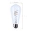 6 Watt LED Bulb - Reminiscent - Flex Gray Filament - ST19 Loop - Medium Base - 2700K CCT - Clear - 120 Volt (6 Pack)