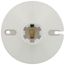 4" Keyless Switch Lampholder, Medium Base, Top Wiring - White (250V, 660W)