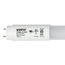 7 Watt - 18 Inch - T8 Linear LED Bulb - Medium Bi-Pin G13Base - 6500K - 50000 Average Rated Hours - 770 Lumens - Type B Ballast Bypass (4 Pack)