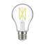5 Watt LED A19 Bulb - Clear - Medium Base - 5000K - 90 CRI - 120 Volt (6 Pack)