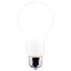 17 Watt - A21 LED Bulb - Frost Finish - Medium base - 5000K - 120 Volt (4 Pack)