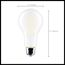 17 Watt - A21 LED Bulb - Frost Finish - Medium base - 5000K - 120 Volt (4 Pack)