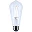 5W ST19 LED, Medium Base, Clear, 5000K CCT, 120V (6 Pack)