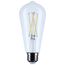 5W ST19 LED, Medium Base, Clear, 5000K CCT, 120V (6 Pack)