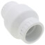 2" PVC Utility Swing Check Valve, EPDM (Socket)