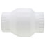 2" PVC Utility Swing Check Valve, EPDM (Socket)