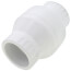 2" PVC Utility Swing Check Valve, EPDM (Socket)