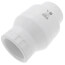 3" PVC Threaded Utility Swing Check Valve (White)