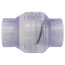 2" PVC Threaded Utility Swing Check Valve (Clear)