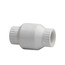4" PVC Utility Spring Check Valve