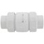 2" PVC Socket Utility Swing Check Valve (White)