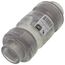 1" Threaded Clear PVC Utility Swing Check Valve