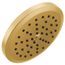 Greenfield Brushed Gold 1 Function 6-3/4" Diameter Spray Head Rainshower, S178BG