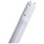 11W T8 LED, 36", 30K/35K/40K/50K/65K CCT Selectable, G13 Base, Ballast Type A/B, Frost Finish, 120-277V, Glass with PET Coating (25 Pack)