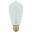 40 Watt ST19 Incandescent Bulb - Clear - 3000 Average rated hours - 160 Lumens - Medium base - 120 Volt (6 Pack)