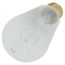 40 Watt ST19 Incandescent Bulb - Clear - 3000 Average rated hours - 160 Lumens - Medium base - 120 Volt (6 Pack)