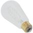40 Watt ST19 Incandescent Bulb - Clear - 3000 Average rated hours - 160 Lumens - Medium base - 120 Volt (6 Pack)