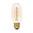 40 Watt T14 Incandescent Bulb - Clear - 3000 Average rated hours - 160 Lumens - Medium base - 120 Volt (5 Pack)