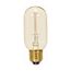 40 Watt T14 Incandescent Bulb - Clear - 3000 Average rated hours - 160 Lumens - Medium base - 120 Volt (8 Pack)