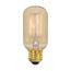 40 Watt T14 Incandescent Bulb - Clear - 3000 Average rated hours - 160 Lumens - Medium base - 120 Volt (8 Pack)