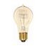 60 Watt A19 Incandescent Bulb - Clear - 3000 Average rated hours - 240 Lumens - Medium base - 120 Volt (6 Pack)