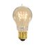 60 Watt A19 Incandescent Bulb - Clear - 3000 Average rated hours - 240 Lumens - Medium base - 120 Volt (6 Pack)