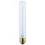 60 Watt T9 Incandescent Bulb - Clear - 3000 Average rated hours - 230 Lumens - Medium base - 120 Volt (6 Pack)