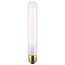 60 Watt T9 Incandescent Bulb - Clear - 3000 Average rated hours - 230 Lumens - Medium base - 120 Volt (6 Pack)